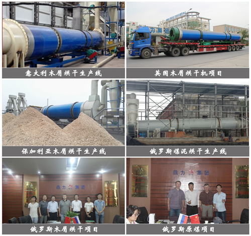 鼎力歐洲部分烘干生產(chǎn)線案例