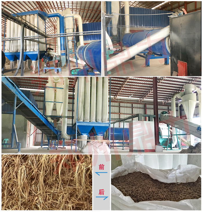 菲律賓象草烘干機案例現(xiàn)場